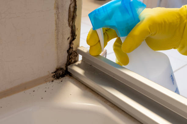 Mold Removal and Inspection in Kewaunee, WI