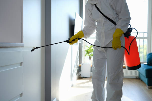 Best Mold Testing  in Kewaunee, WI