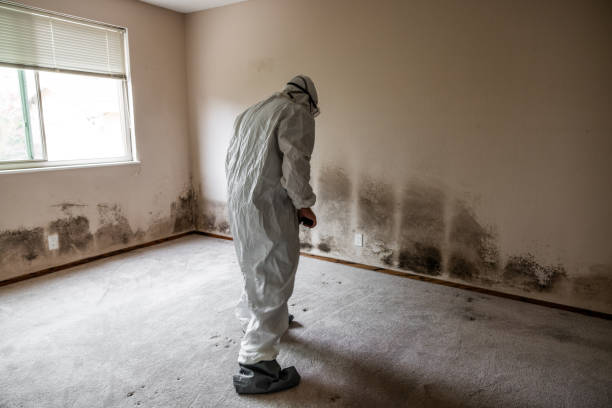 Best Crawl Space Mold Removal  in Kewaunee, WI